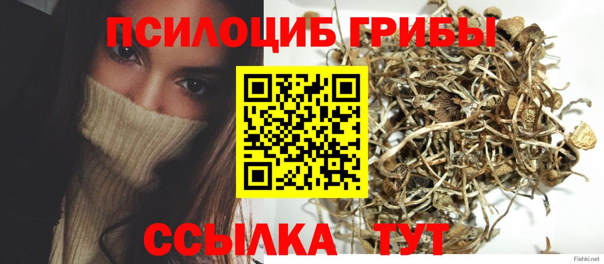 Галлюциногенные грибы мухоморы Шебекино