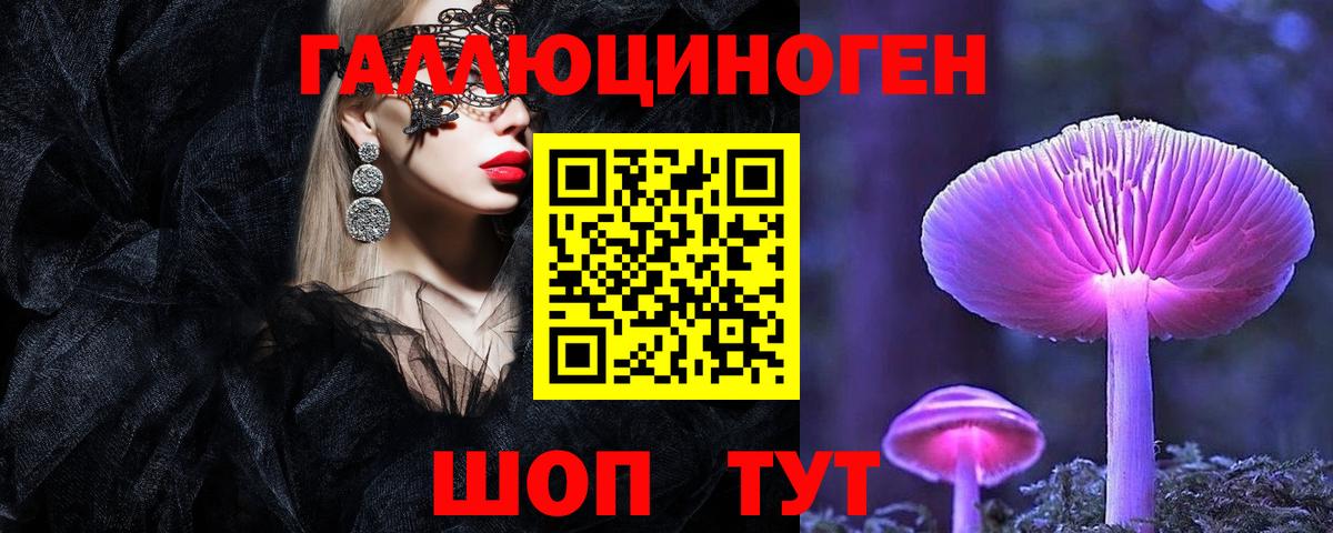 Псилоцибиновые грибы мухоморы  Псилоцибиновые грибы Psilocybe  Шебекино  Вход с VPN 