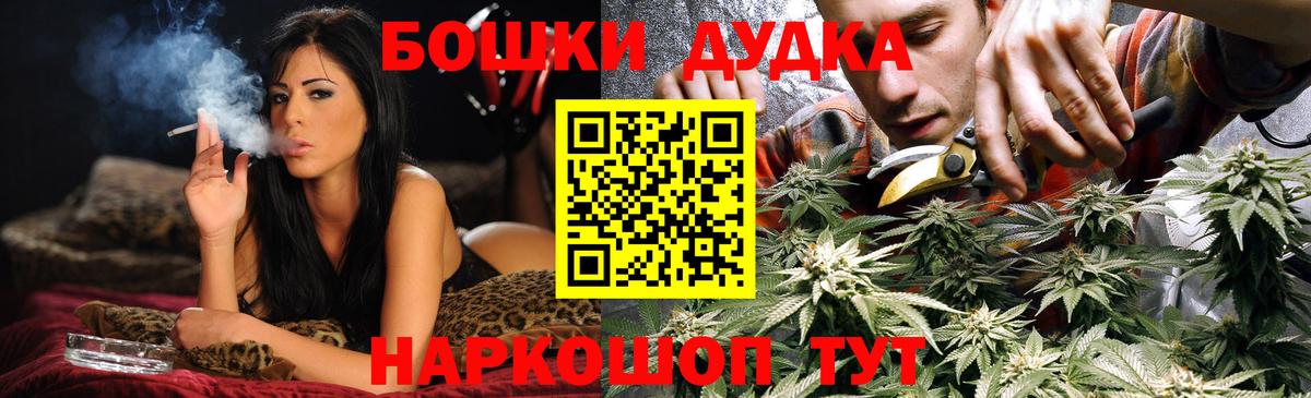 Шебекино  Конопля конопля  Вход с VPN  Конопля конопля  Бошки Шишки White Widow  Бошки Шишки ГИДРОПОН 